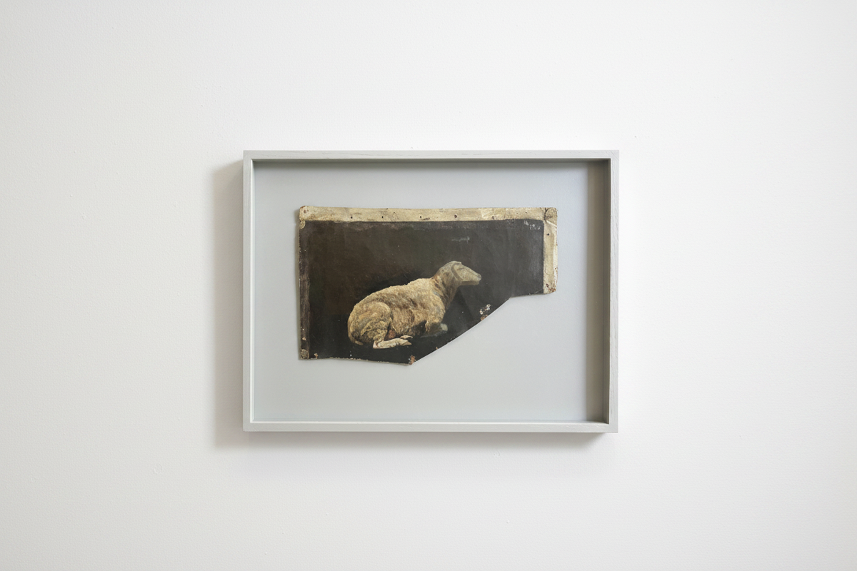 Niels Skovgaard. Study of a sheep