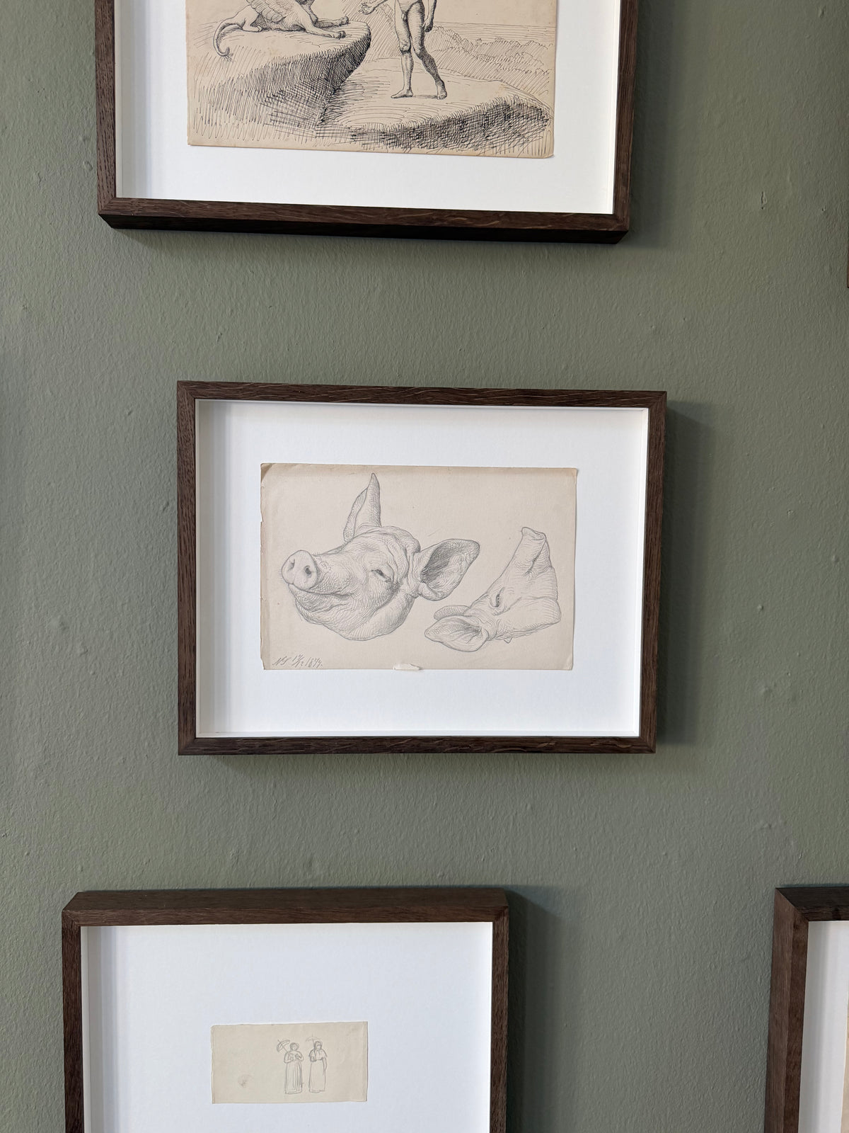 Niels Skovgaard. Study of a pigs head, 1874