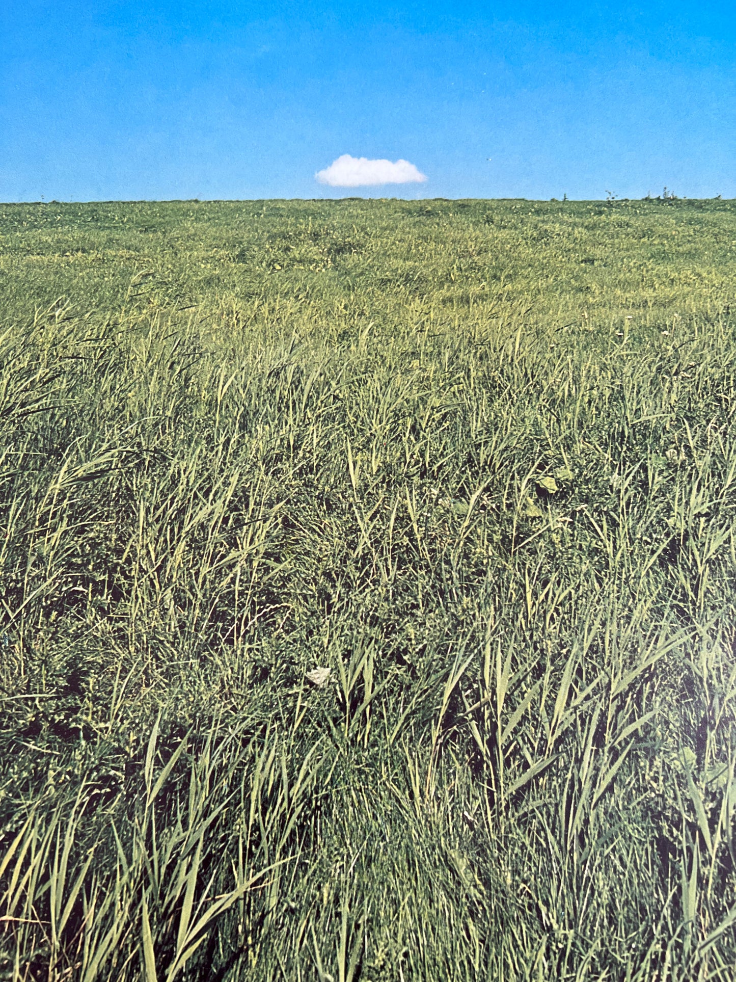 Gerrit Dekkers. Landscape, 1976