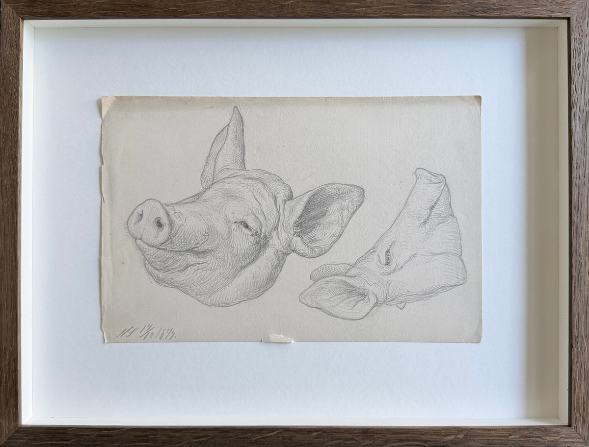 Niels Skovgaard. Study of a pigs head, 1874
