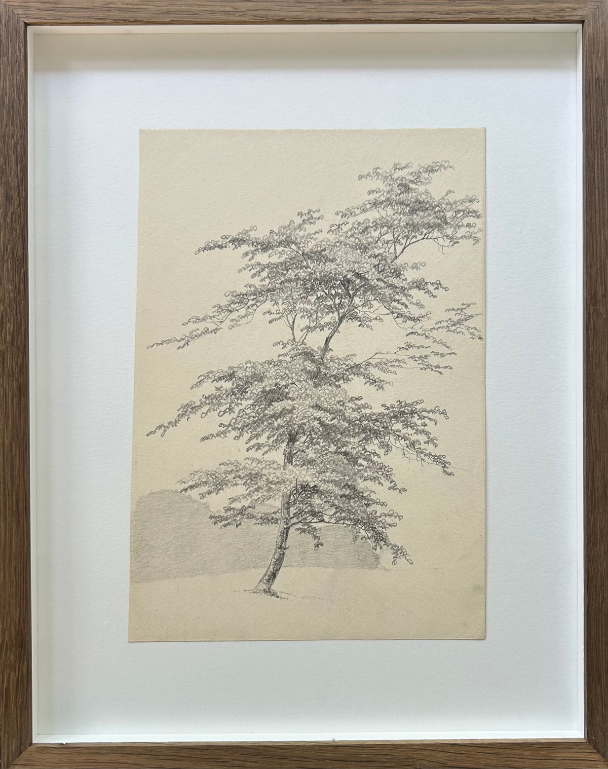 P. C. Skovgaard. Study of a tree