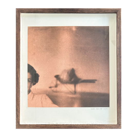 Inaki Bonillas. “A Storm of Secondary Things”, 2012
