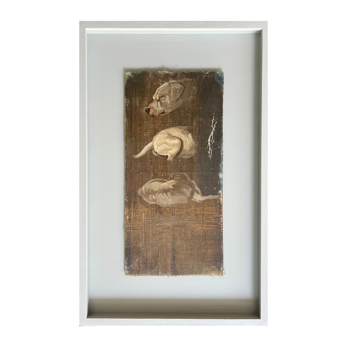 Niels Skovgaard. Studies of a dog
