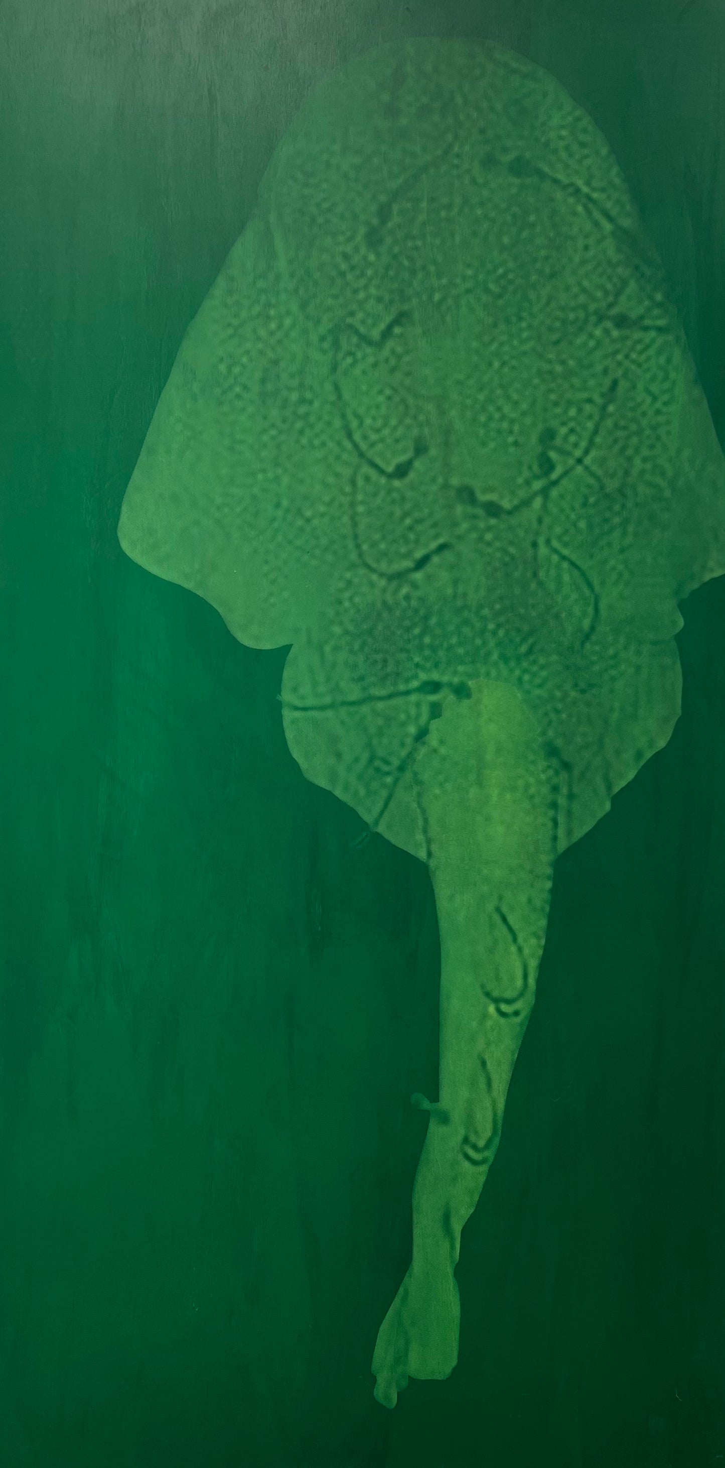 Marie Kølbæk Iversen. “Havengel”