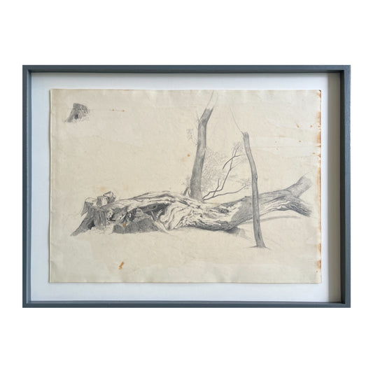 Georgia Skovgaard. Study of a fallen tree