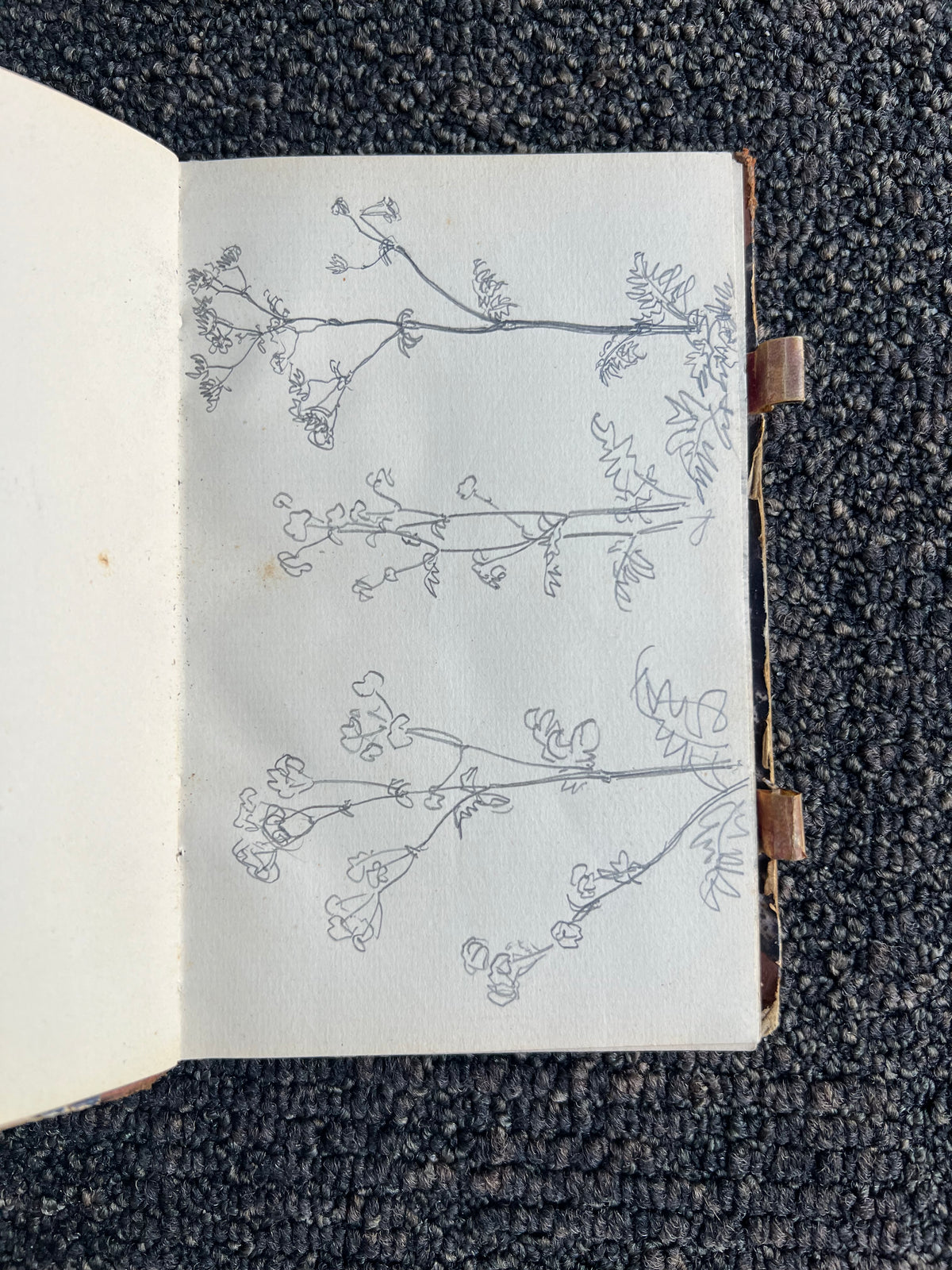 Niels Skovgaard. Sketchbook