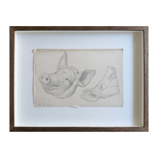 Niels Skovgaard. Study of a pigs head, 1874