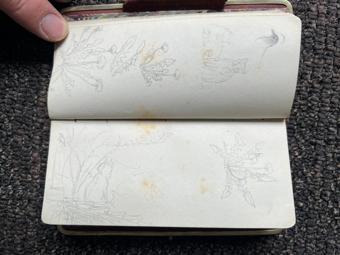 Niels Skovgaard. Sketchbook