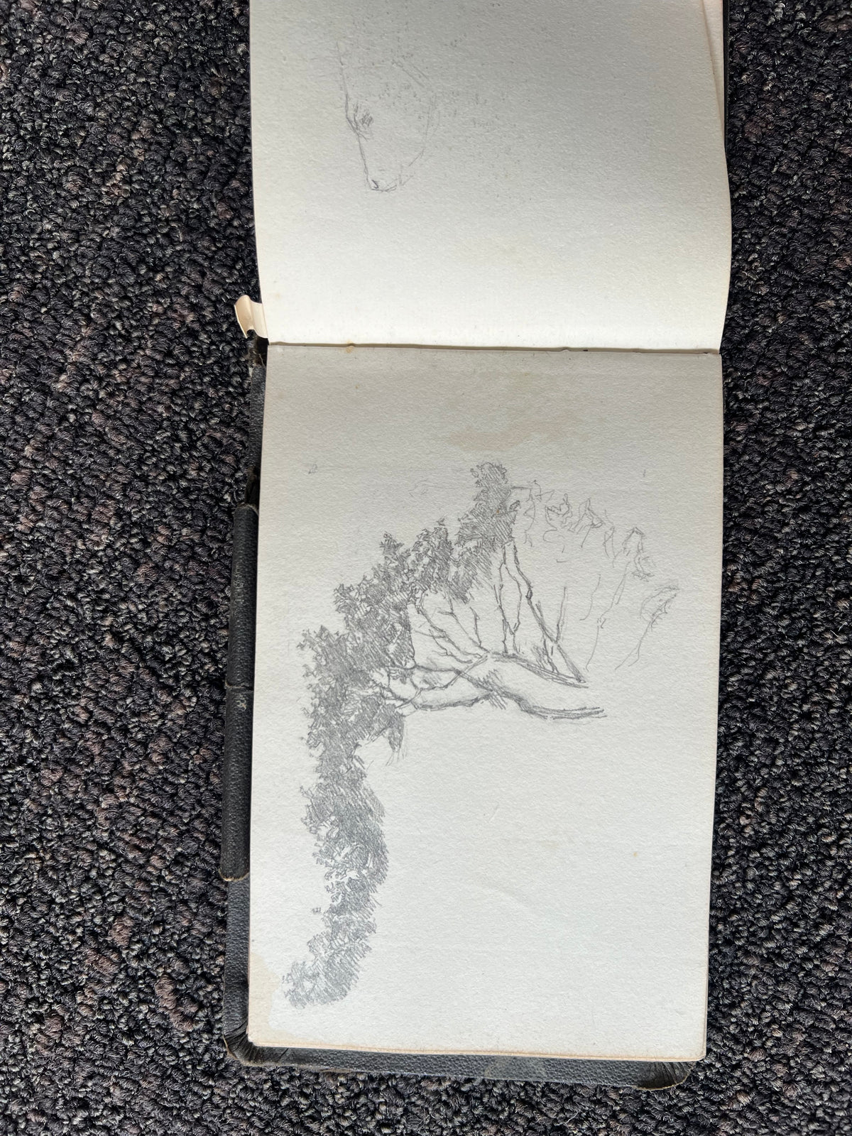 Niels Skovgaard. Sketchbook
