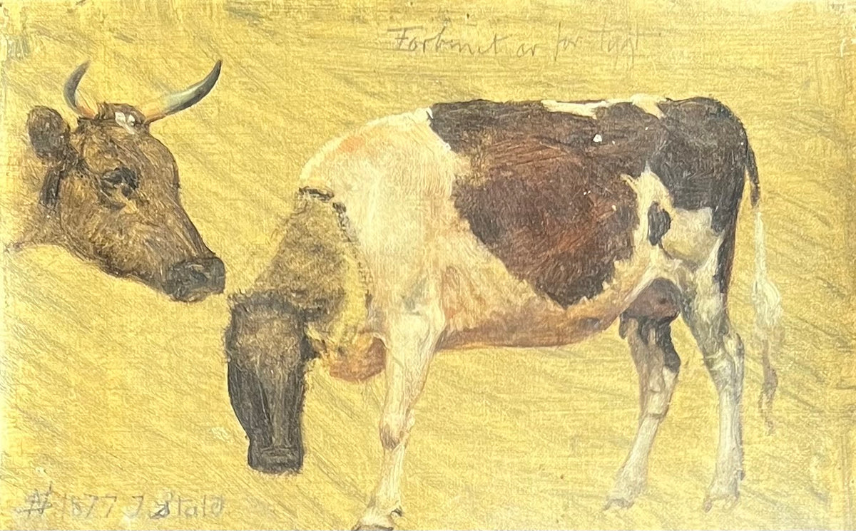 Niels Skovgaard. Study of a cow and cows head