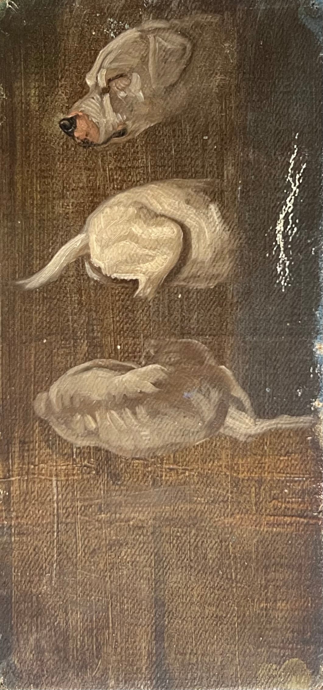 Niels Skovgaard. Studies of a dog