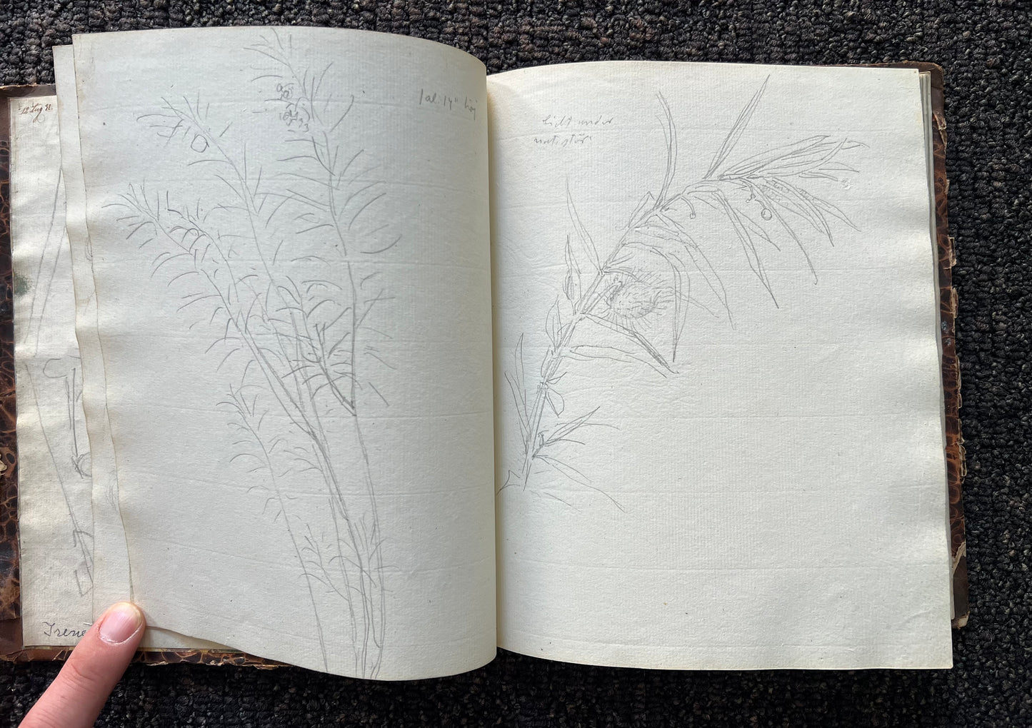 Niels Skovgaard. Sketchbook