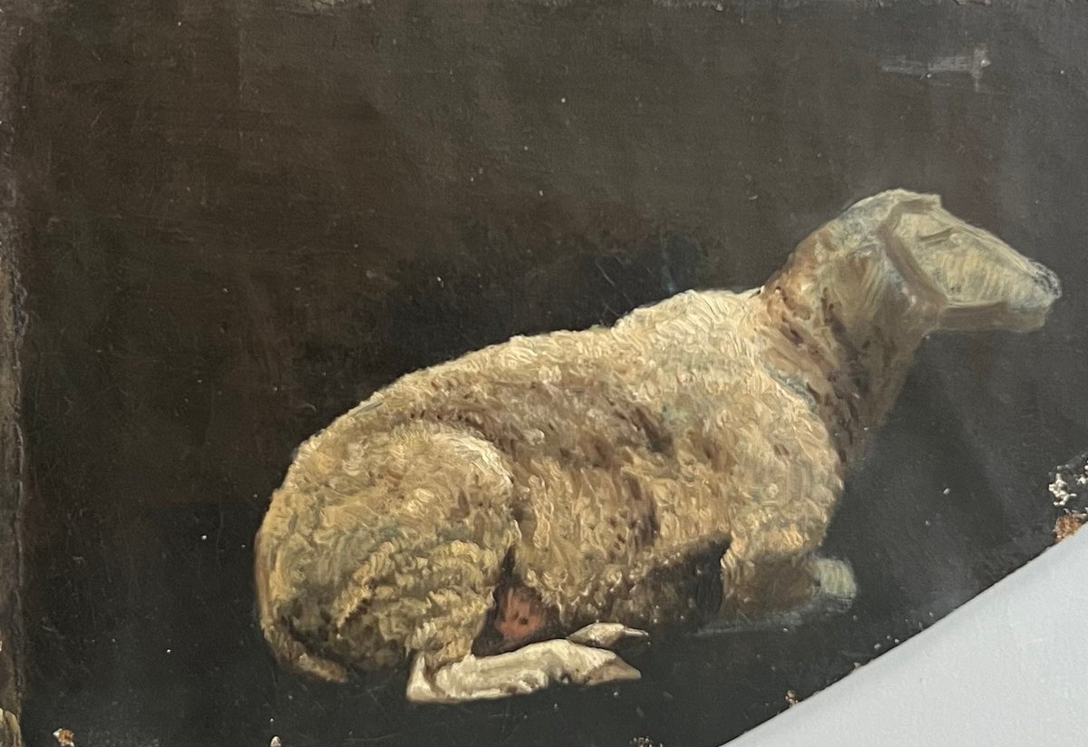 Niels Skovgaard. Study of a sheep