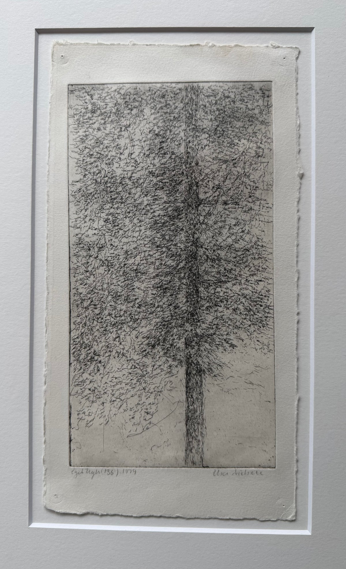Elsa Nielsen. Study of a tree, 1979