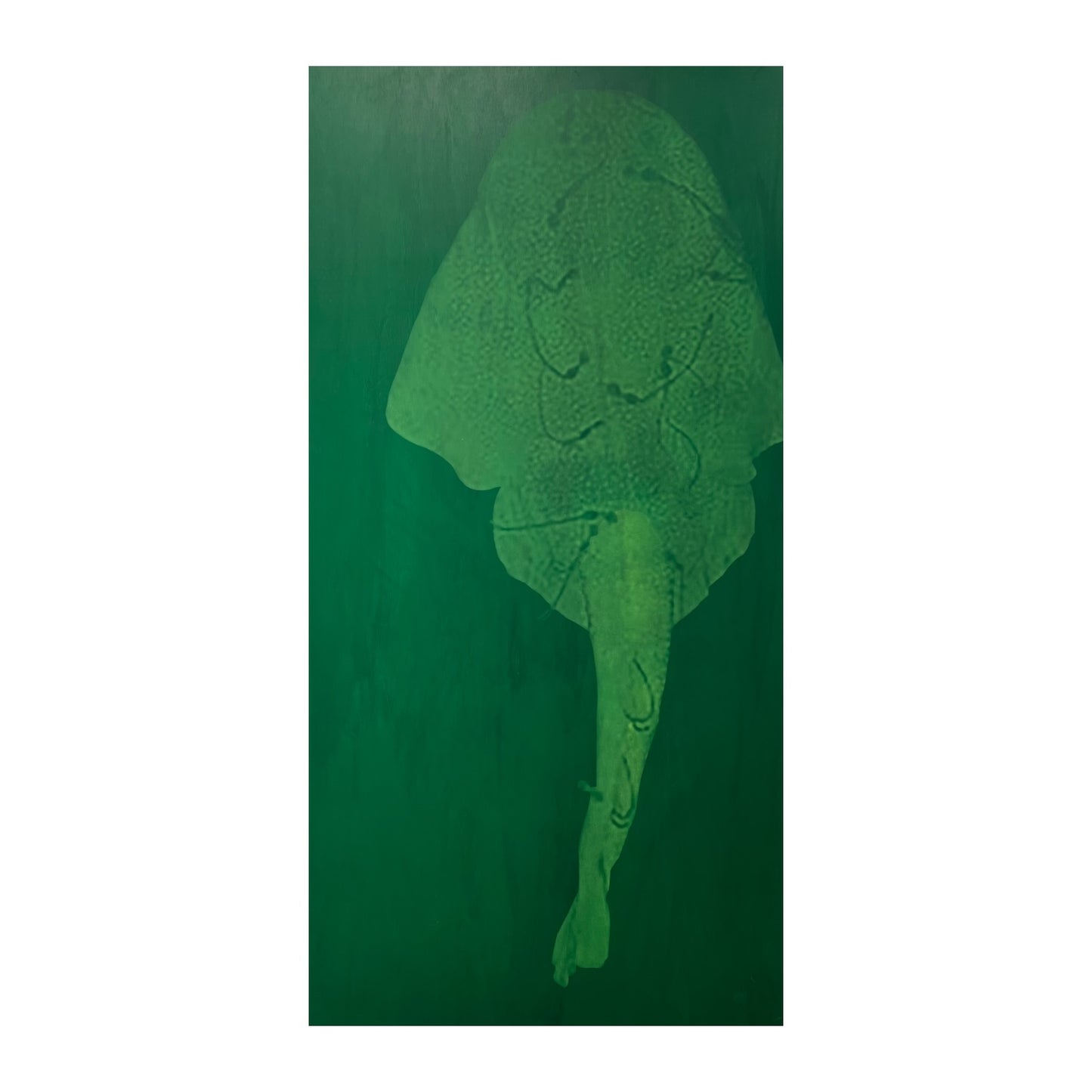 Marie Kølbæk Iversen. “Havengel”