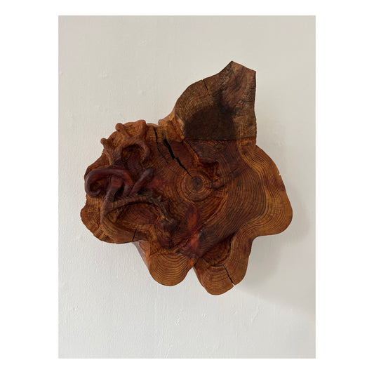 Mette Rasmussen. “Nissen finder globen blandt Bayeuxtræer”, 2019