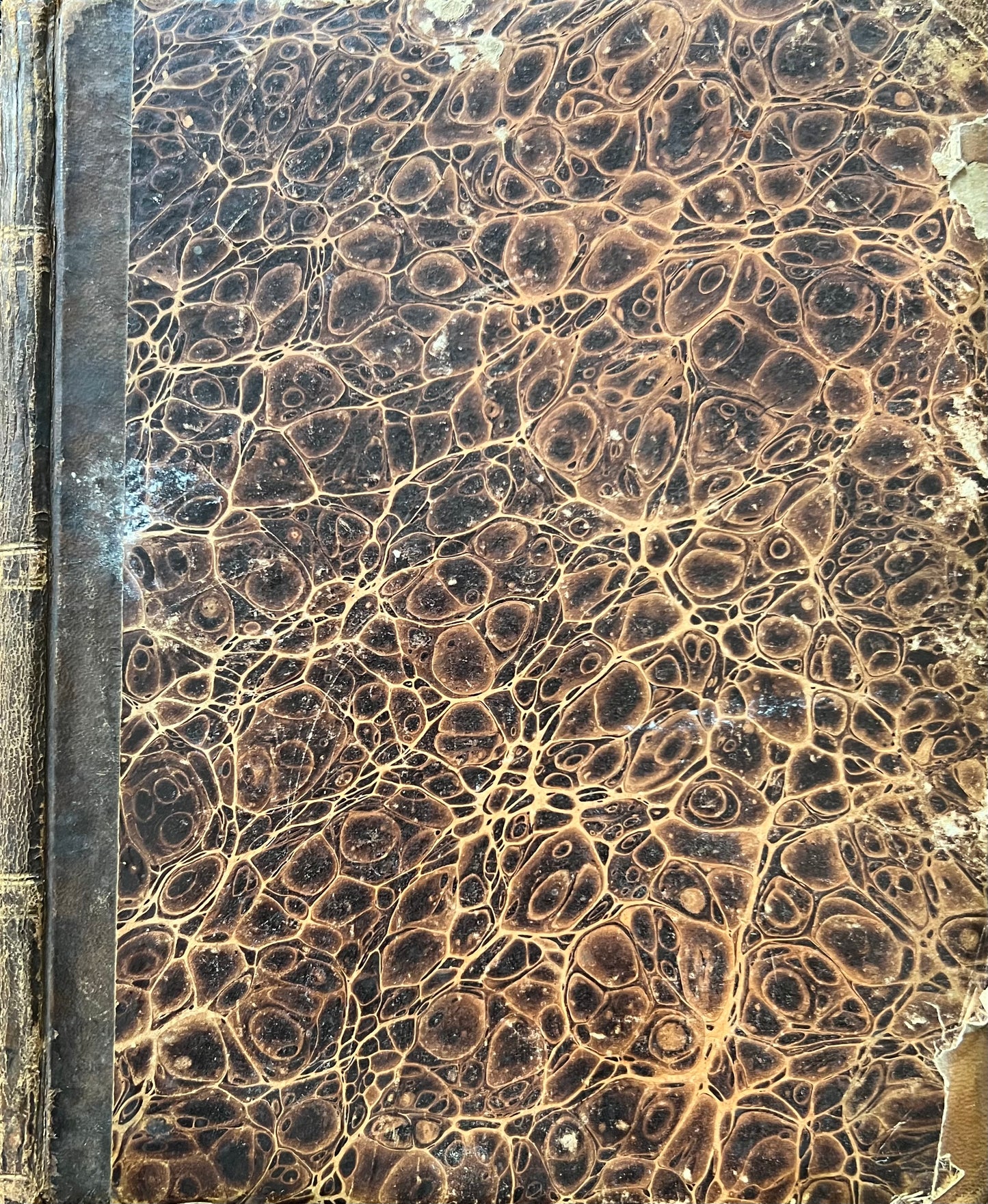 Niels Skovgaard. Sketchbook