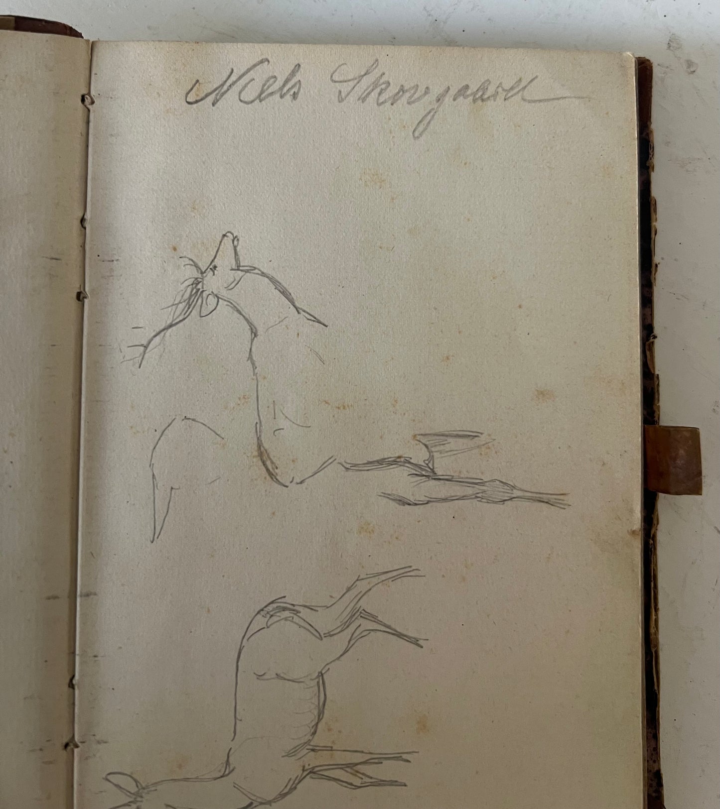 Niels Skovgaard. Sketchbook