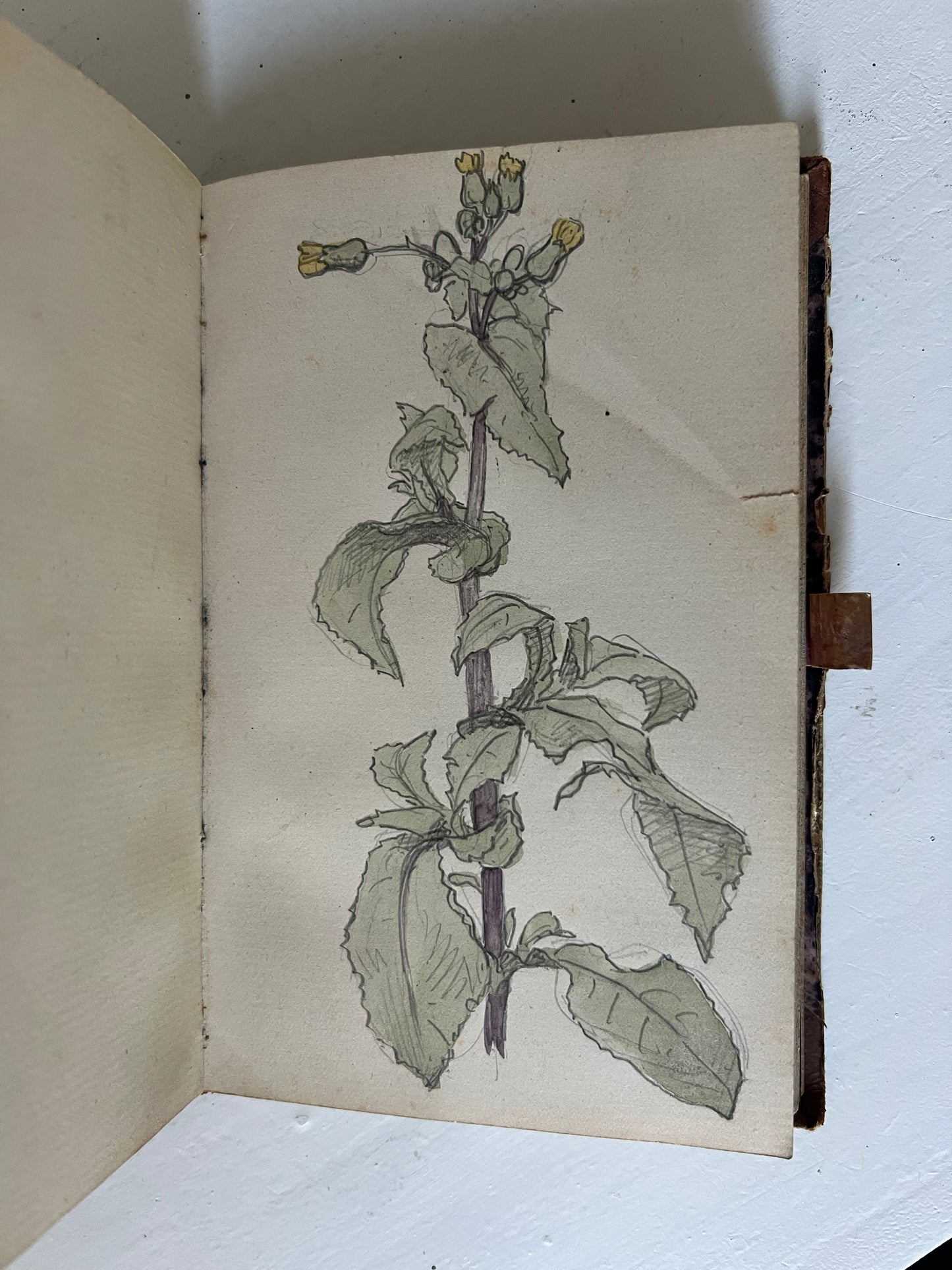 Niels Skovgaard. Sketchbook