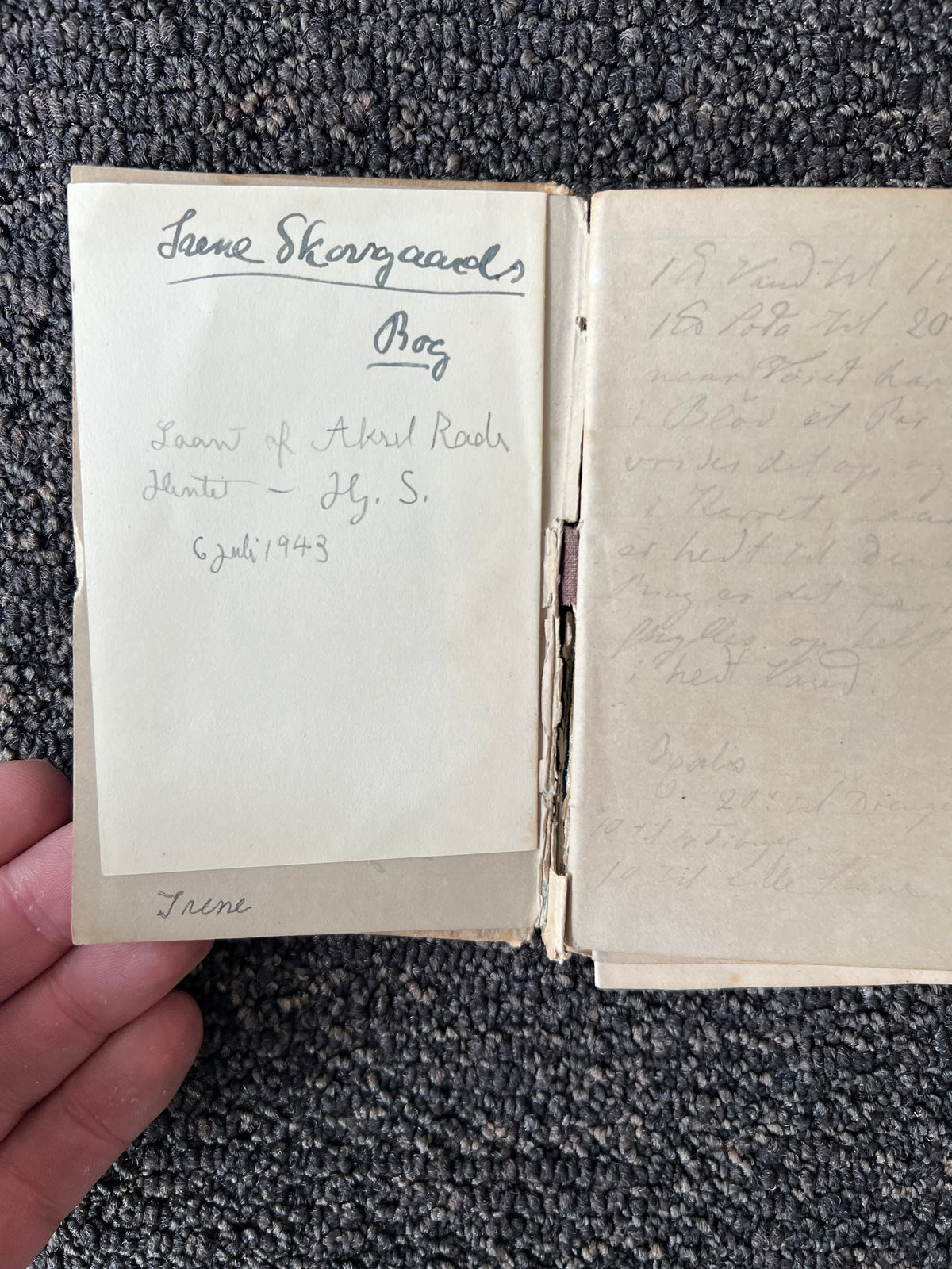 Niels Skovgaard. Sketchbook
