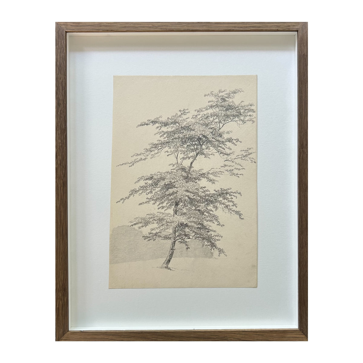 P. C. Skovgaard. Study of a tree