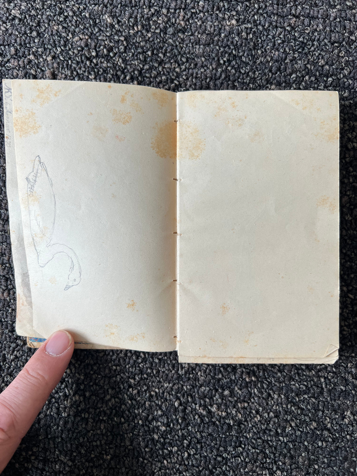 Niels Skovgaard. Sketchbook