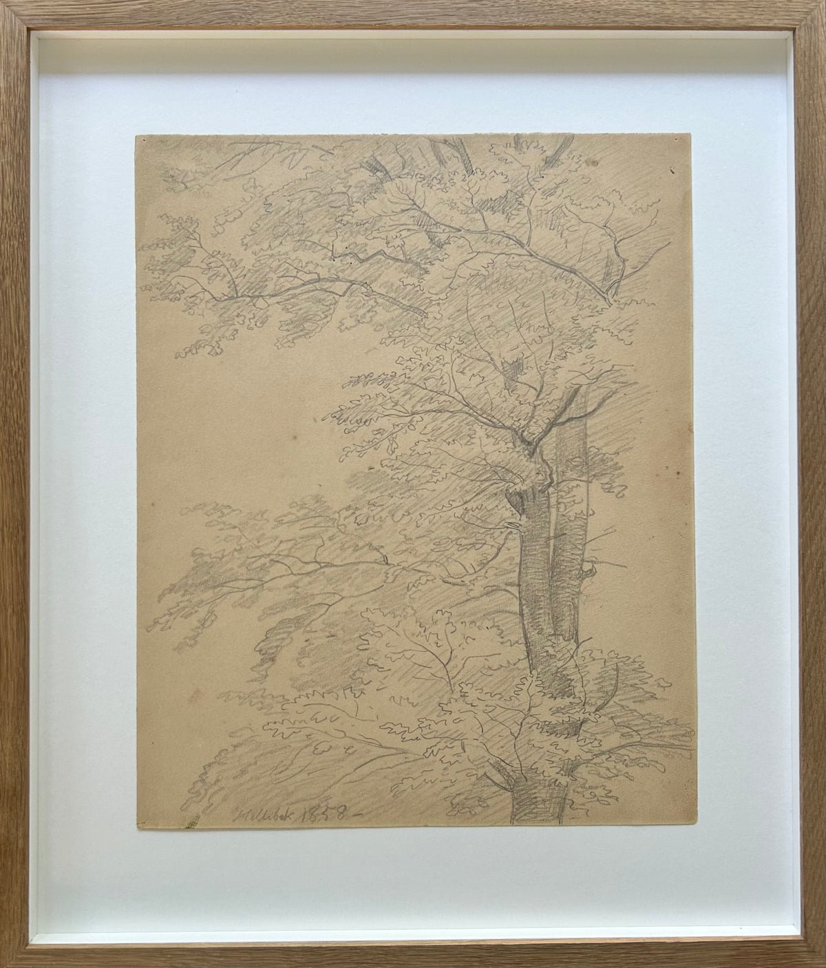 P. C. Skovgaard. Study of a tree, Hellebæk, 1858