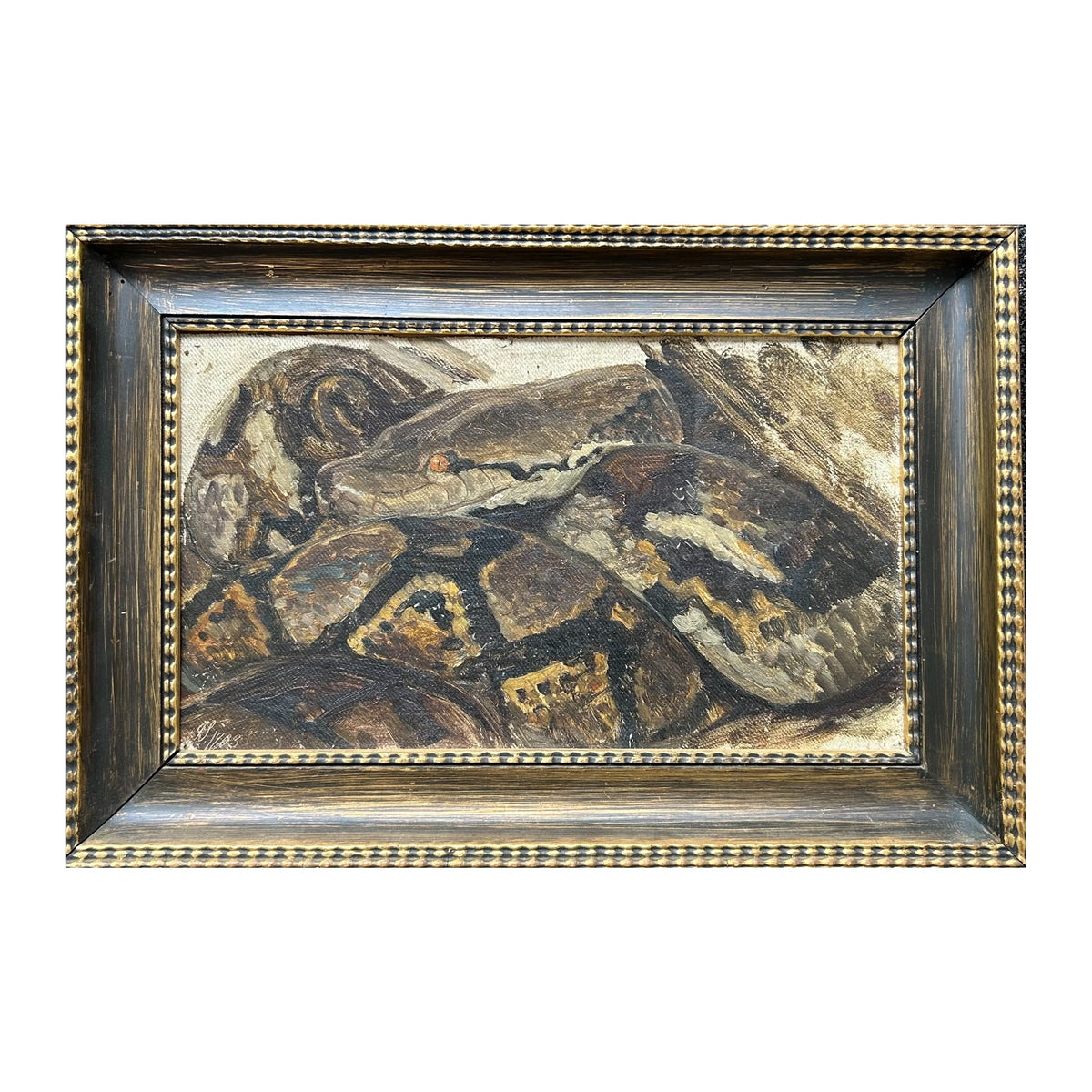 Joakim Skovgaard. Study of a tiger python, 1903