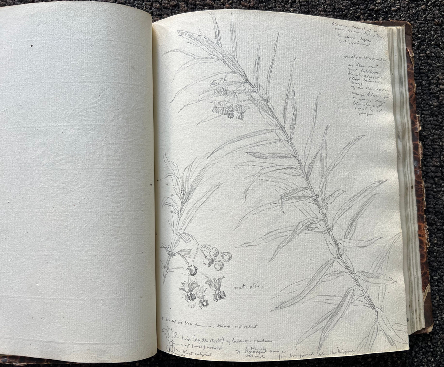 Niels Skovgaard. Sketchbook