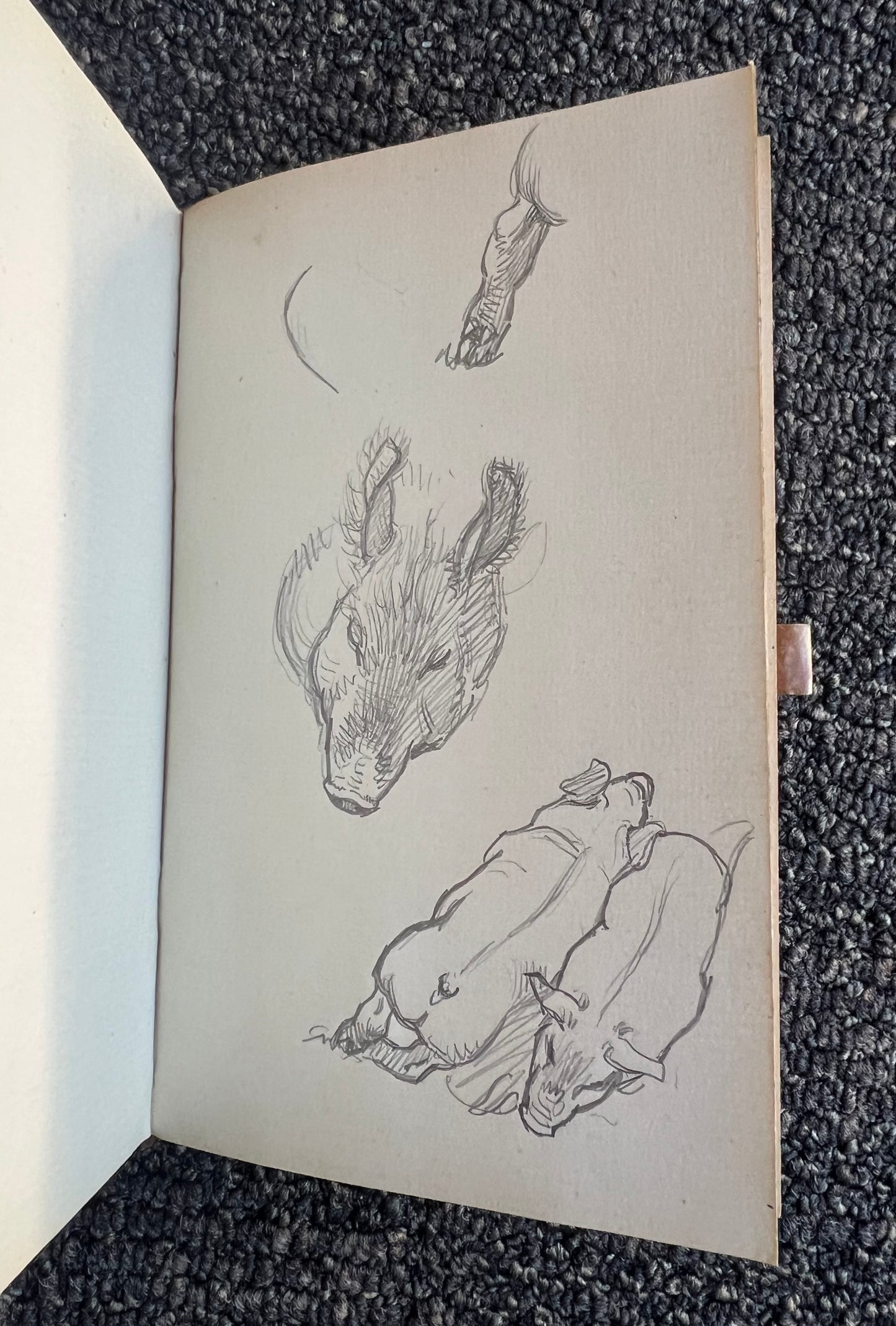 Niels Skovgaard. Sketchbook
