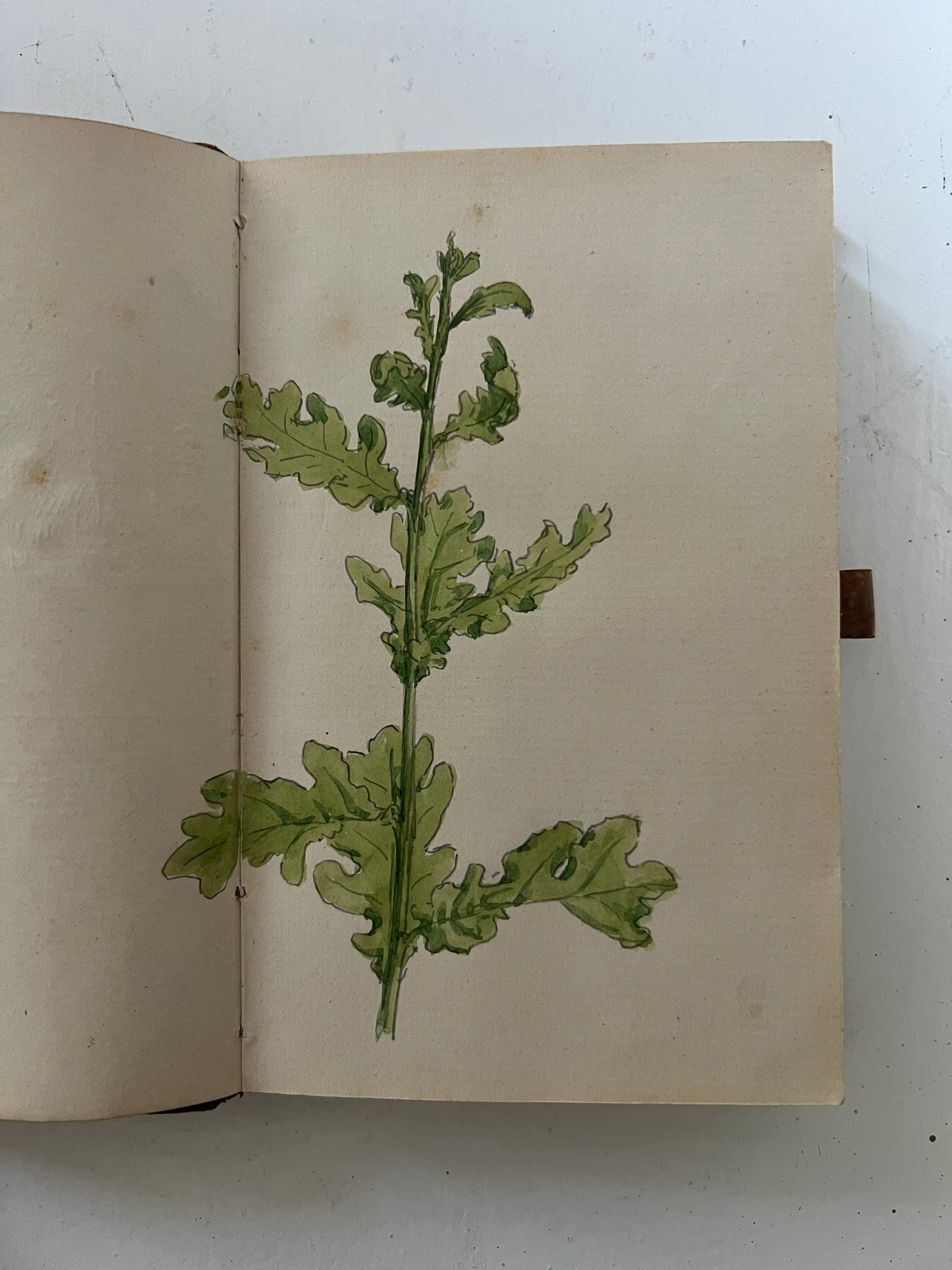 Niels Skovgaard. Sketchbook