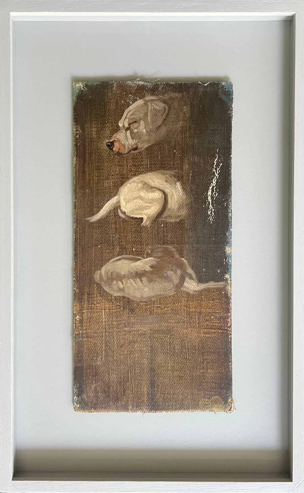 Niels Skovgaard. Studies of a dog