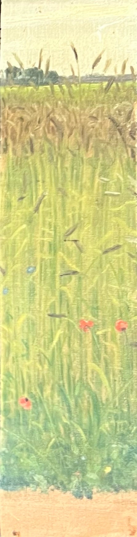 Niels Skovgaard. Study of a flowering field
