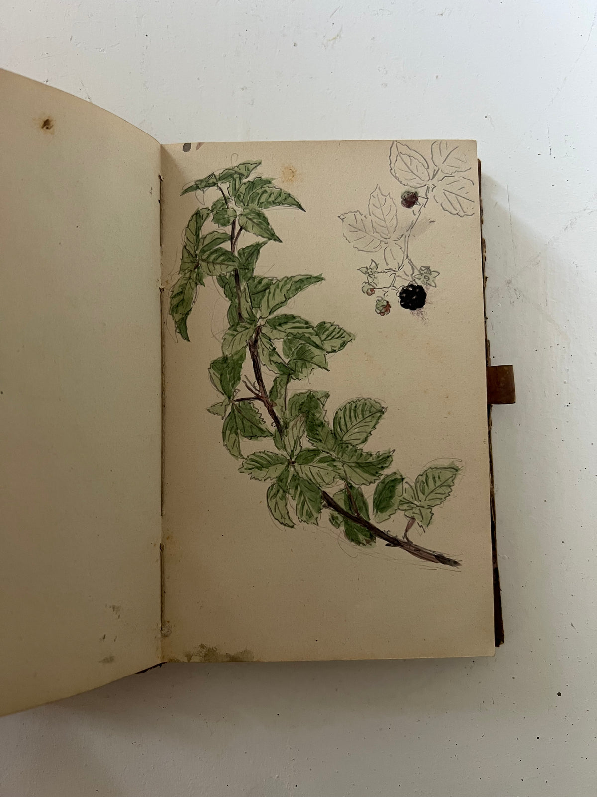 Niels Skovgaard. Sketchbook