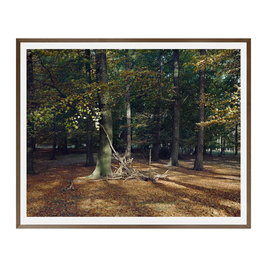 Maja Flink. “Skoven”, 2016