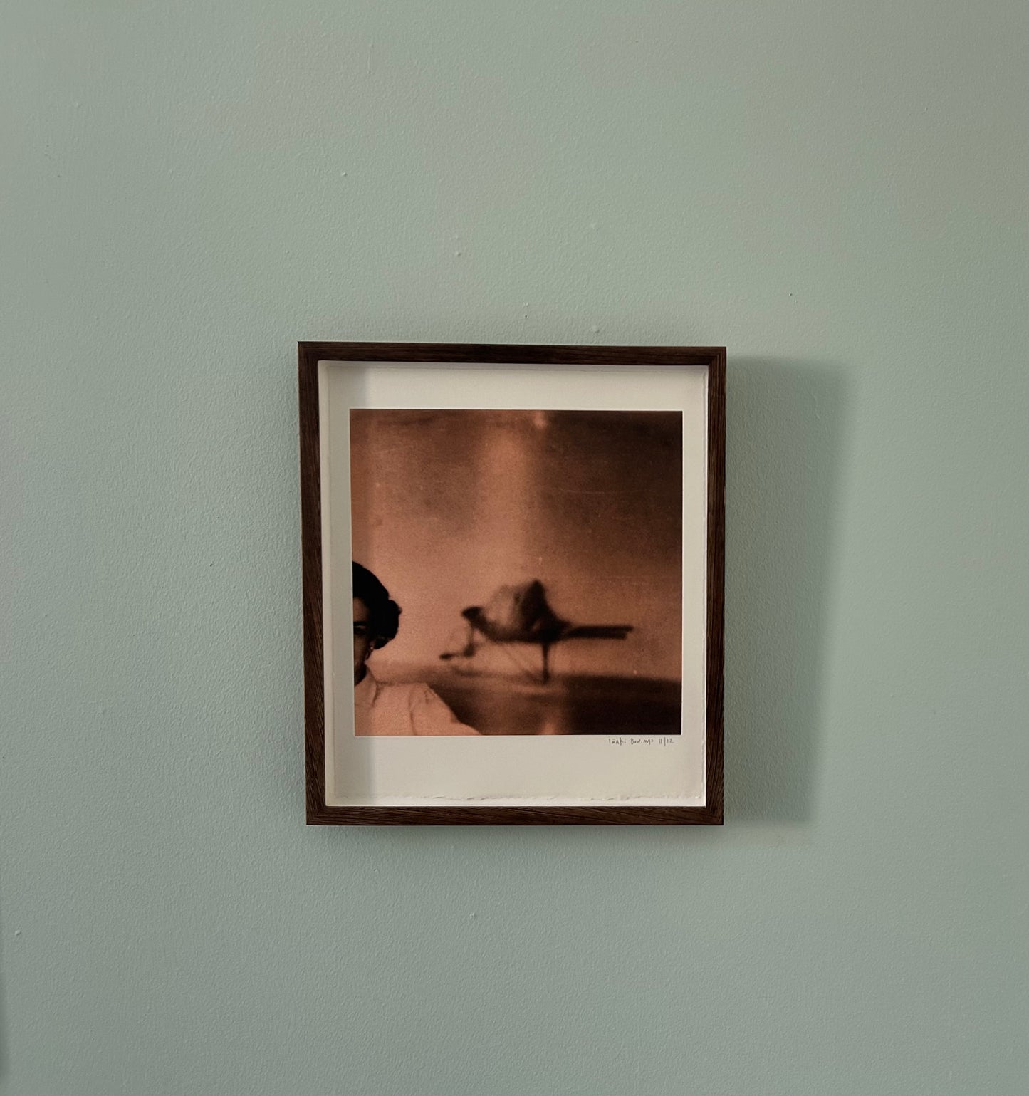 Inaki Bonillas. “A Storm of Secondary Things”, 2012