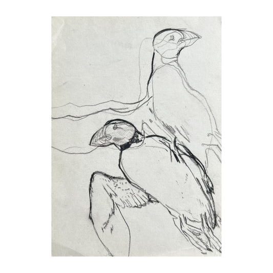 John Olsen. Puffins